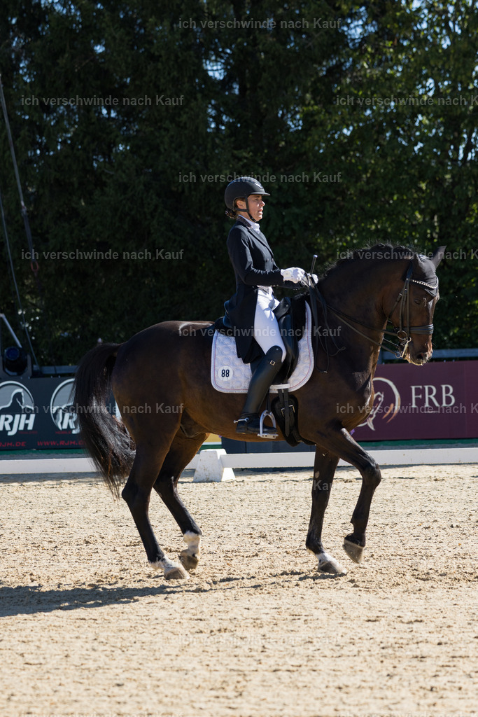 FHC2026_P07_88_17651 | working equitationturnier fotograf videograf stoibphotography marixx film working equitation deutschland reitsport turnierfotografie eventfotografie equestrian events