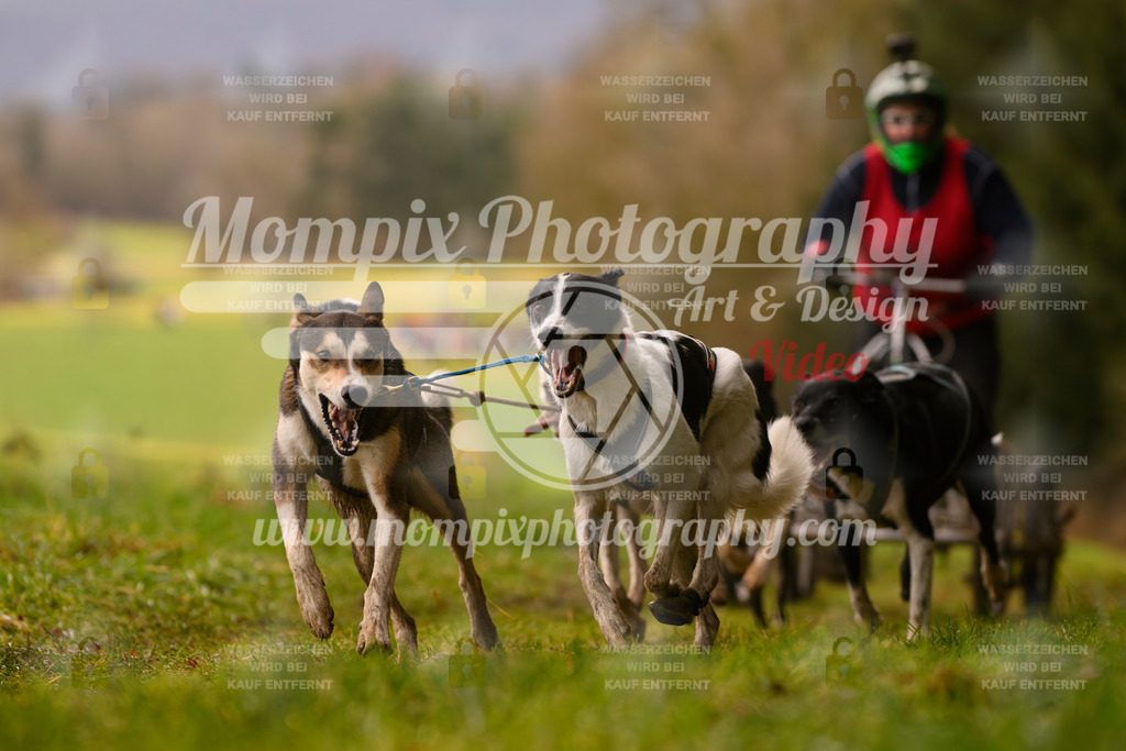MompixPhotography_2SSTSSBW_2025_SO_Kart-32 | PayLife