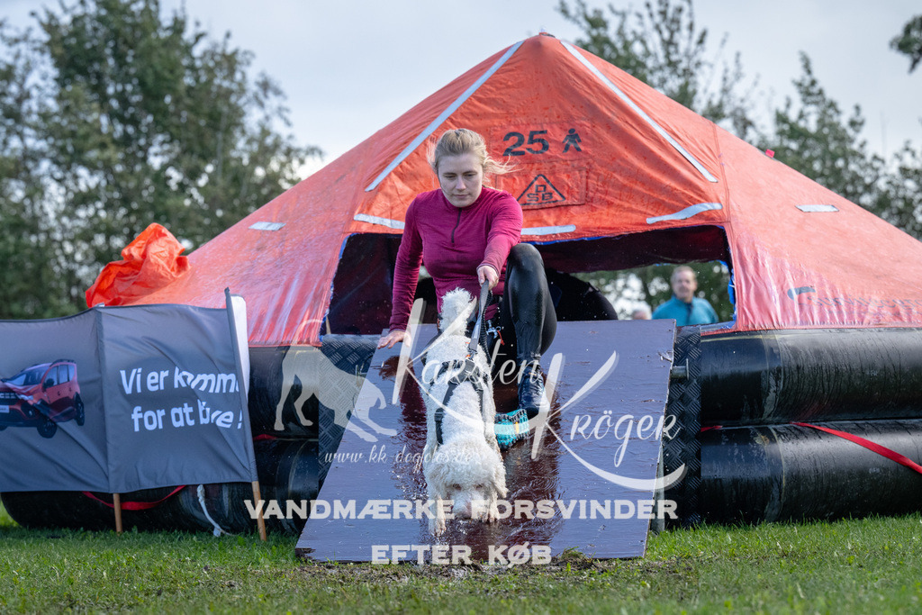1256-90209 | kk-dogfotos