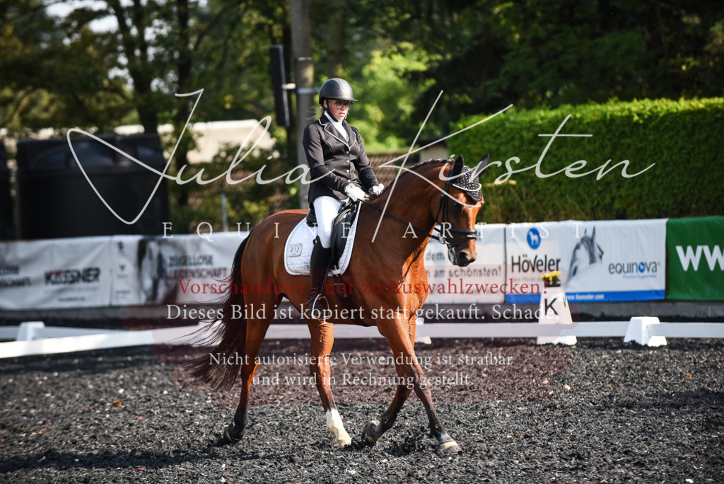 DSC_3150 | Pferde- und Turnierfotografie in Westsachsen. Pferdeportraits, Auftragszeichnungen und intuitive Kunst.