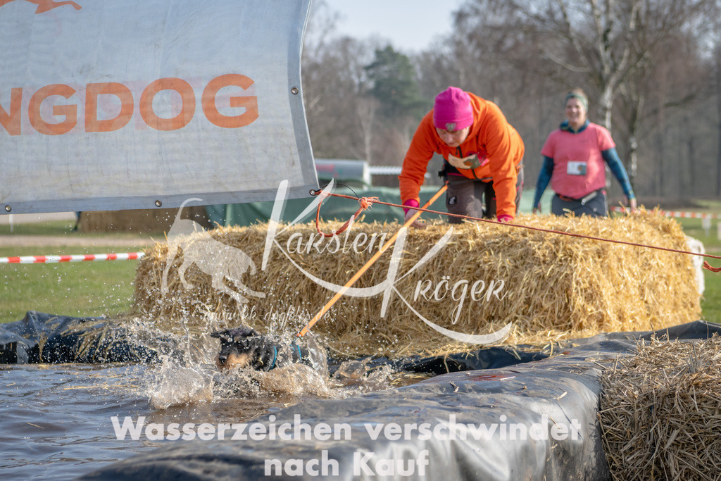 _ZZ91709 | kk-dogfotos