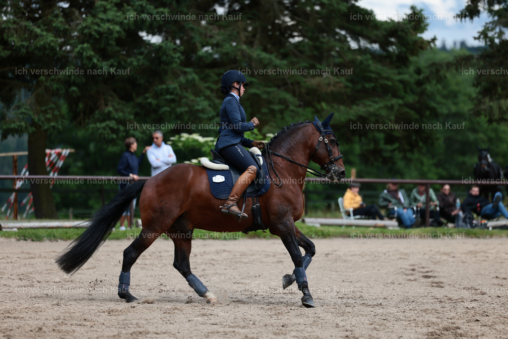 Masterclass_stoibphotography_C2_L6835.JPG | working equitationturnier fotograf videograf stoibphotography marixx film working equitation deutschland reitsport turnierfotografie eventfotografie equestrian events