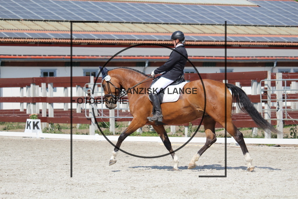 IMG_5101 | franziskalange - Realisiert mit Pictrs.com