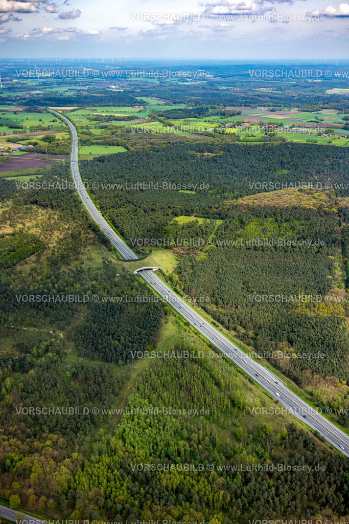 Schermbeck240402061UefterMark | Luftbild, Waldgebiet Üfter Mark, Autobahn A31 mit Grünbrücke bzw. Wildbrücke für gefahrlose Überquerung von Wildtieren, Wildwechsel, Altschermbeck, Schermbeck, Münsterland, Nordrhein-Westfalen, Deutschland