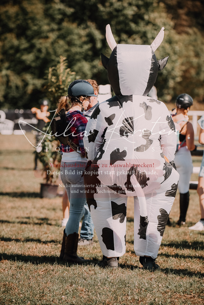 DSC_7358 | Pferde- und Turnierfotografie in Westsachsen. Pferdeportraits, Auftragszeichnungen und intuitive Kunst.