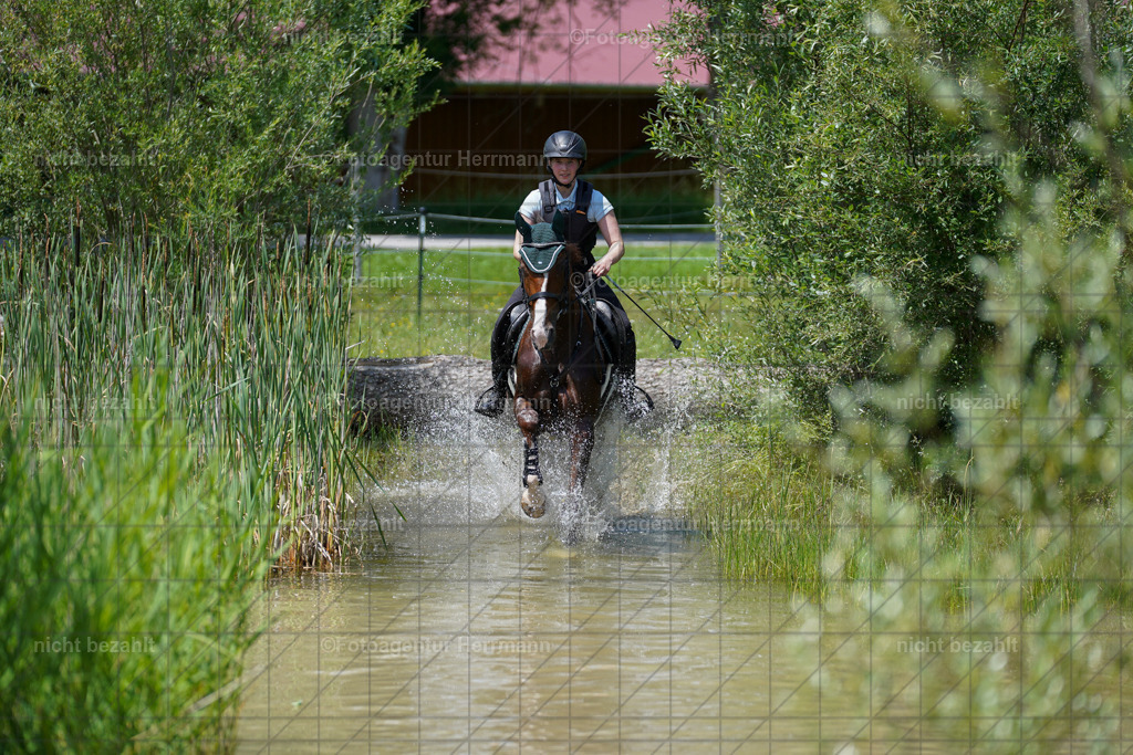 20240622-FAH07132 | Turnierfotografen Bayern, Reitsportbilder aus dem Geländekurs mit Felix Etzel auf dem Gut Waitzacker 2024