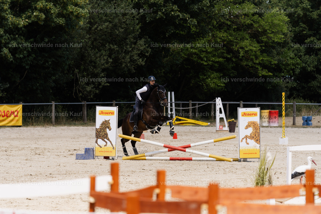 WM_SP_110_SinaFilmArt_IN07577 | working equitationturnier fotograf videograf stoibphotography marixx film working equitation deutschland reitsport turnierfotografie eventfotografie equestrian events