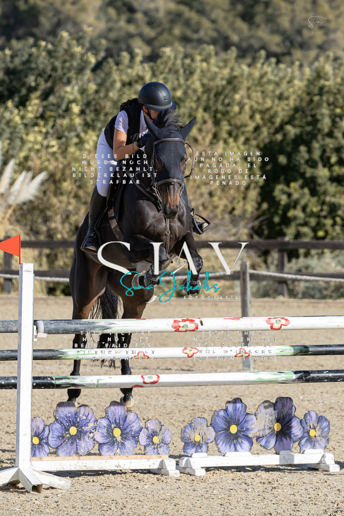 IMG_0126 | s-jay-photography - Realisiert mit Pictrs.com