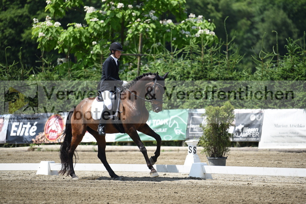 DSC_0178 | equestrian-live-com