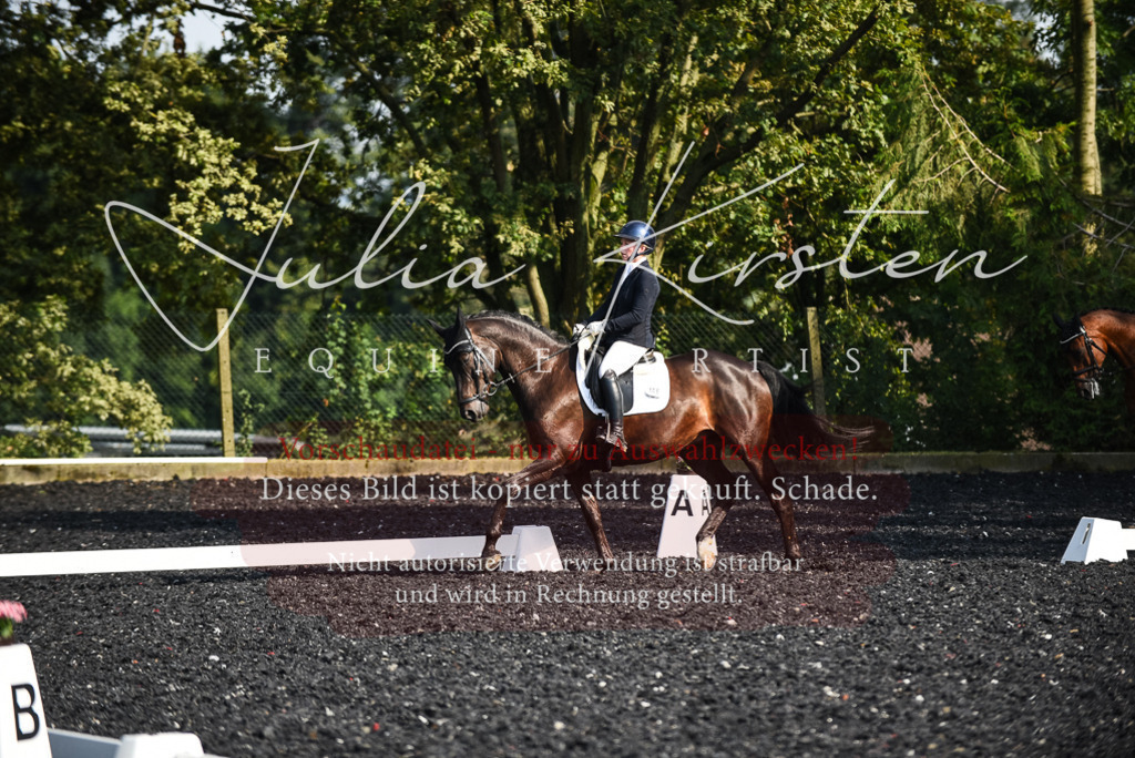 DSC_3133 | Pferde- und Turnierfotografie in Westsachsen. Pferdeportraits, Auftragszeichnungen und intuitive Kunst.