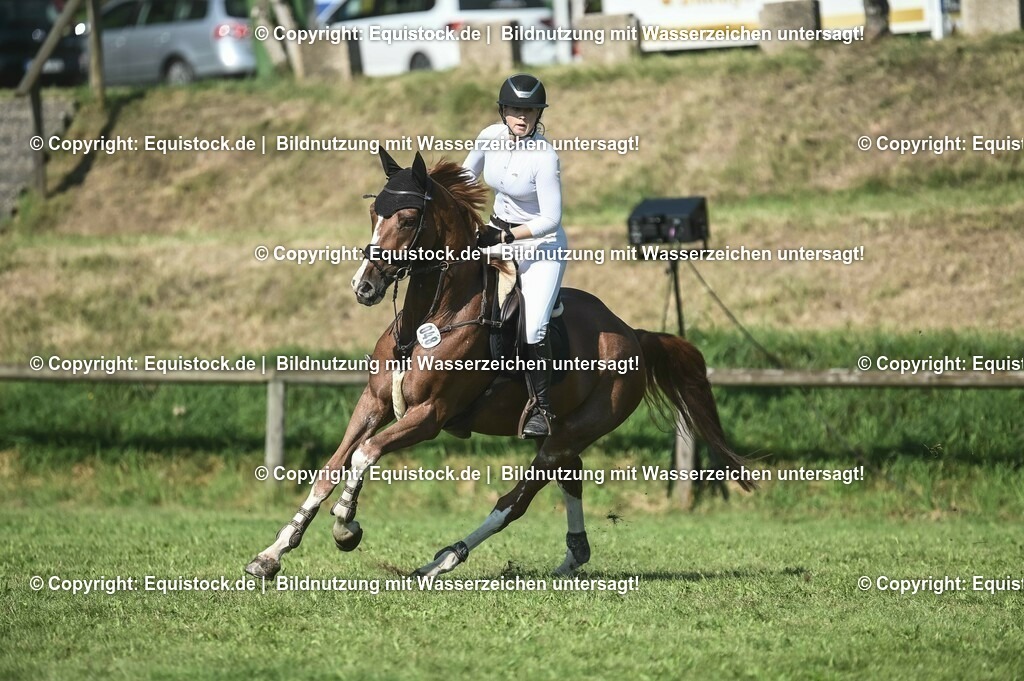 20230910_23_Zwei-Phasen_M_0022 | Foto: Thomas Hartig