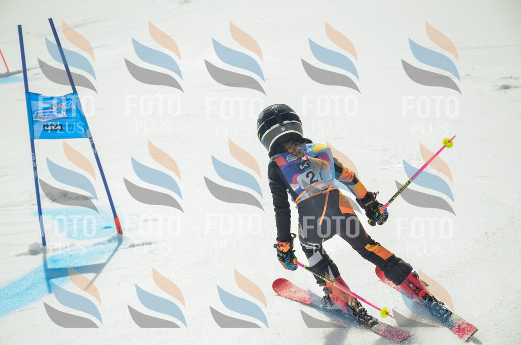 _ELE4835 | holidayphoto