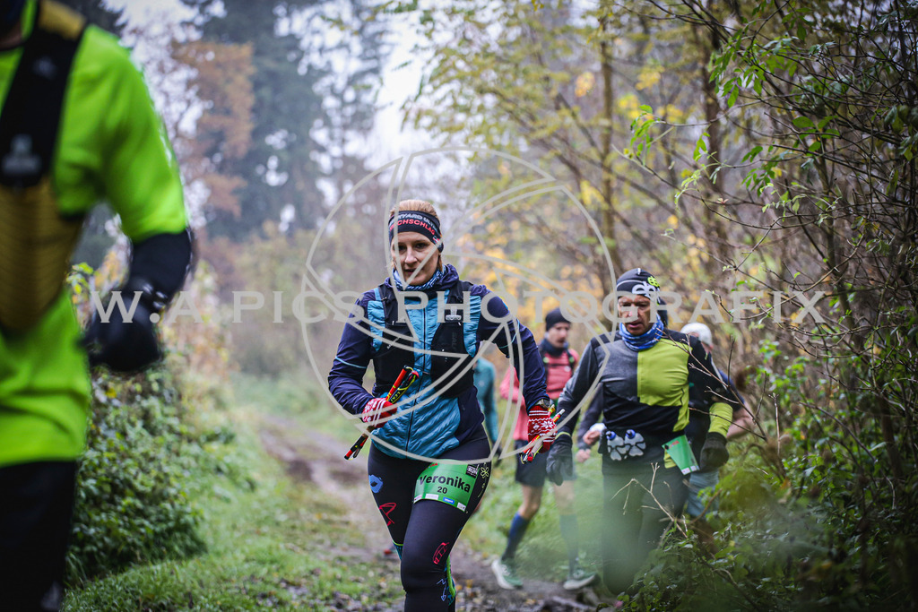 ..... | LEONDING,AUSTRIA,8.November 25, Kürnberglauf 2025  , Image shows: Photo: WAPICS / Andreas Willdoner