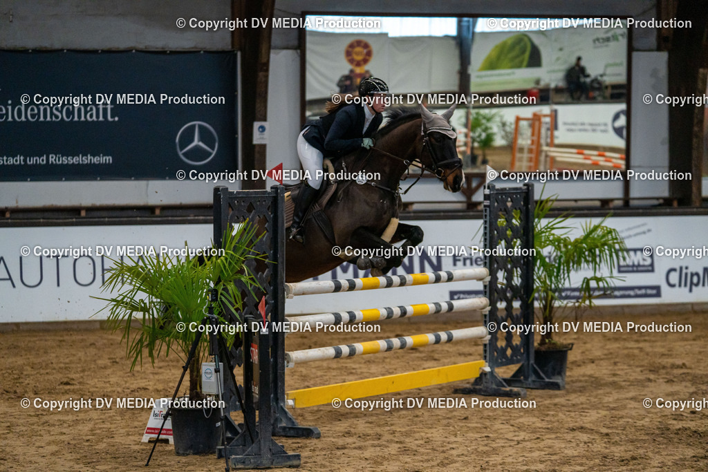 Kranichstein Tag 2-131 | dv-media-shop - Realisiert mit Pictrs.com