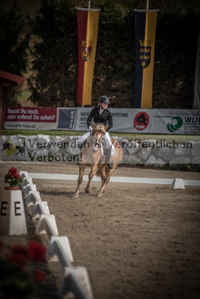 DSC_8646 | equestrian-live-com