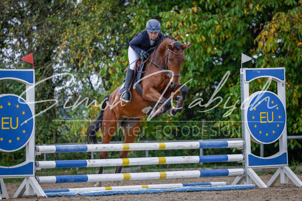 20251012-_3LI3957 | Tierfotografie Pferde, Hunde, Katzen, Haustiere.
Turnierfotografie Reitturniere, Reiten, Springreiten, Dressur in Hanau, dem Main-Kinzig-Kreis und dem Rhein-Main- Gebiet um Frankfurt