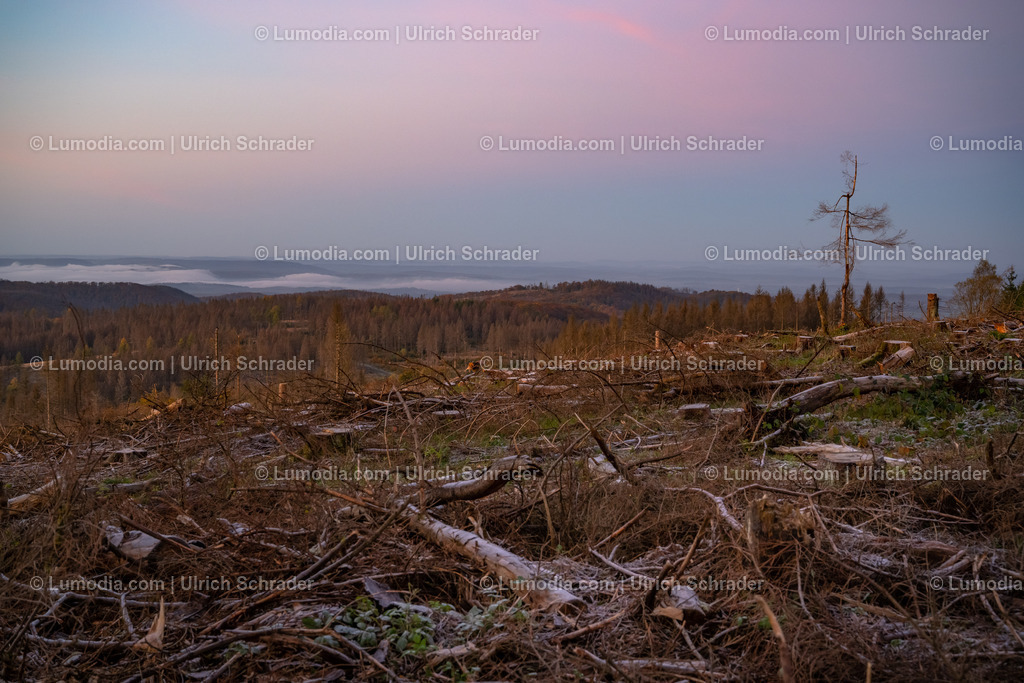 10049-12911 - Herbst im Westharz | Stockfoto und Bilderpool mit Bildmaterial aus Deutschland, dem Harz, Halberstadt, Quedlinburg, Wernigerode und weltweit. Qualitativ hochwertige und professionelle Fotos anschauen und kaufen. - Realisiert mit Pictrs.com