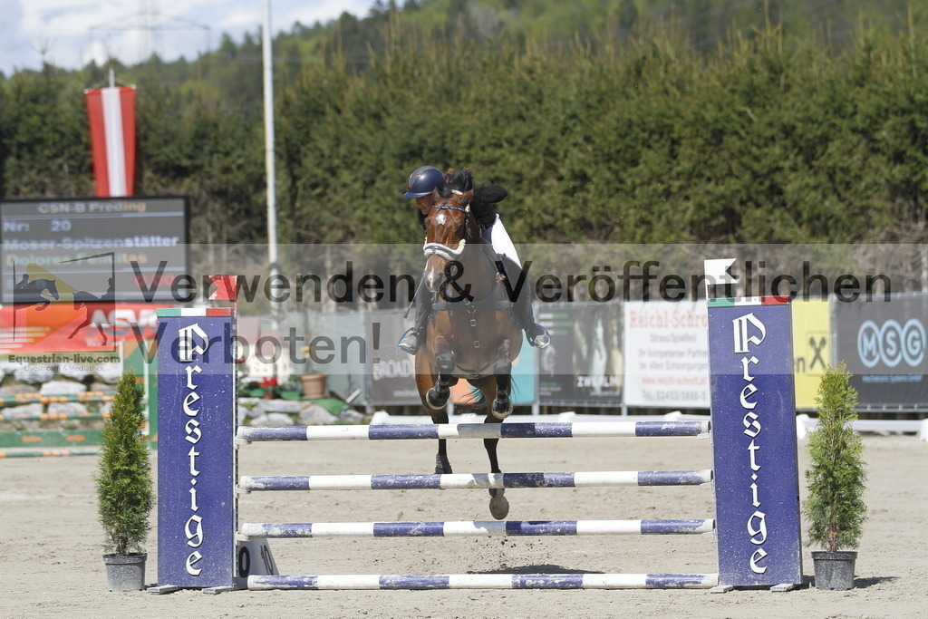 _MG_6795 | equestrian-live-com