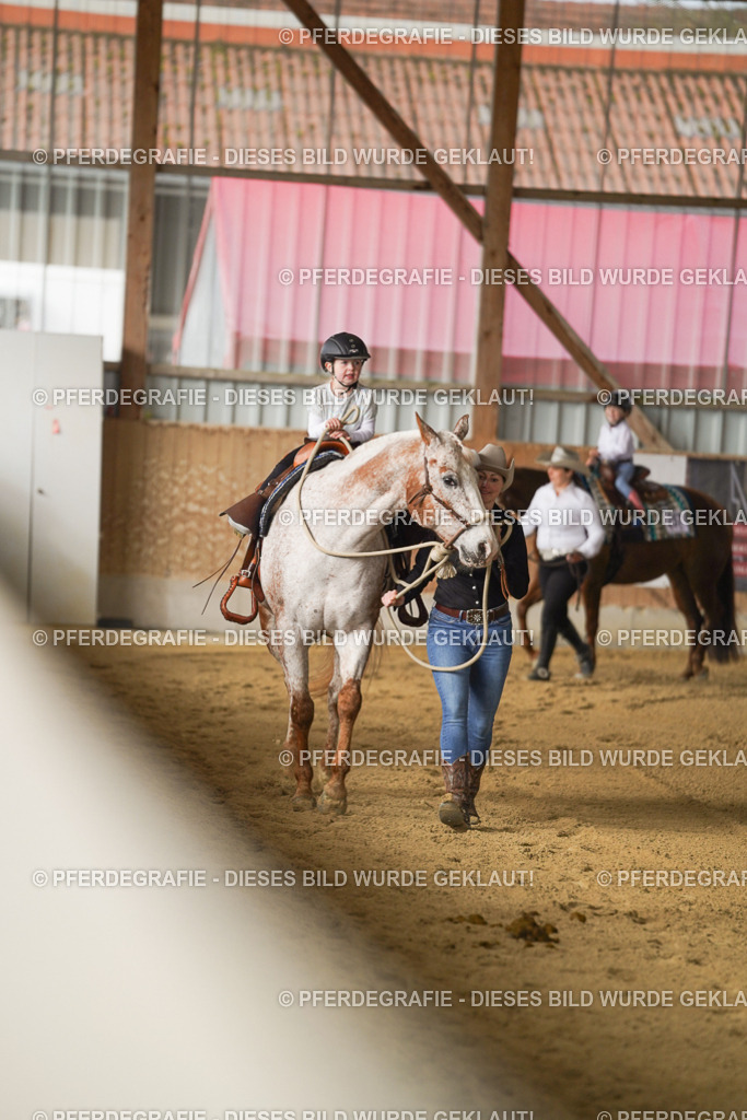 DSC00657 | Pferdegrafie