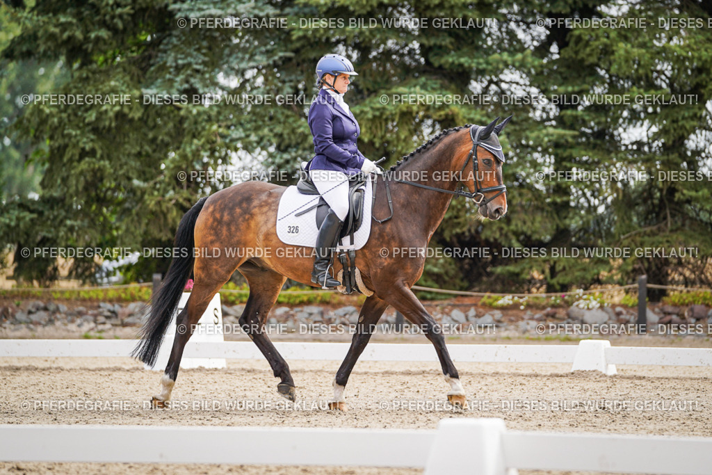 DSC01988 | Pferdegrafie