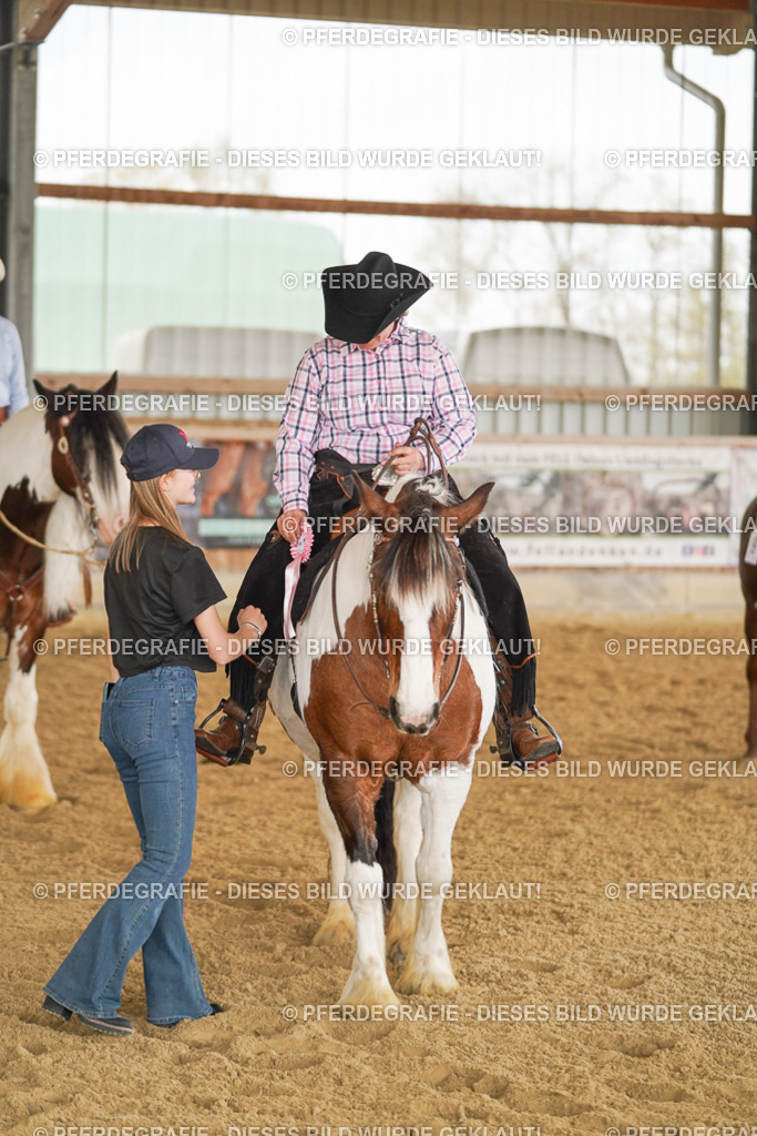 DSC03290 | Pferdegrafie