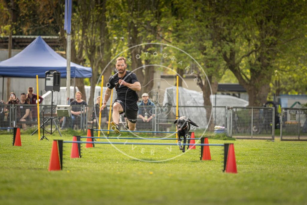 Pfotenfotografie_DV3A6181 | Hundefotografie, Tierfotograf, Pfotenfotografie, Fotoshooting Hund, Hunde Portrait, Hundesport, Hundeportraits, Heideshooting, Hunde, Sportfotograf, Hundefotograf, Turnierhundsport, THS,  - Realisiert mit Pictrs.com