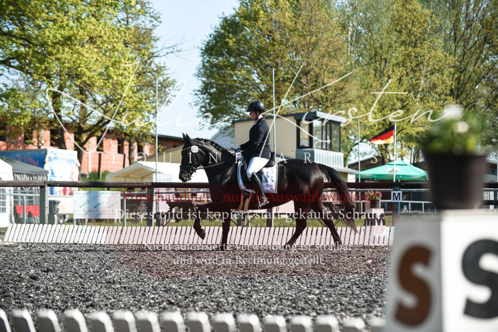 DSC_8623 | Pferde- und Turnierfotografie in Westsachsen. Pferdeportraits, Auftragszeichnungen und intuitive Kunst.