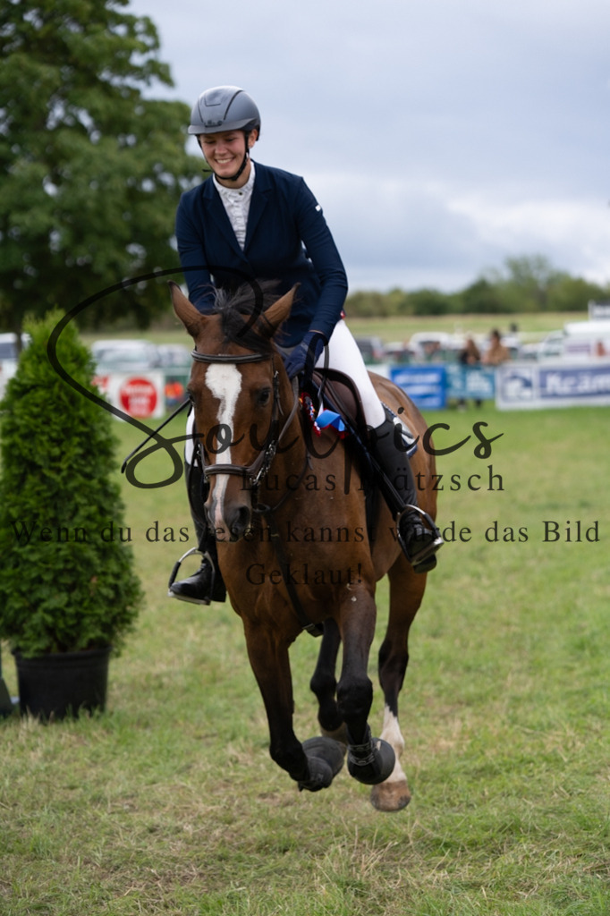 A7V06056 | Pferdefotograf