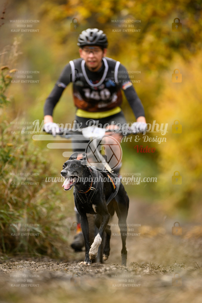 MompixPhotography_ICF_WC_2024_SA_Bike_-147 | PayLife