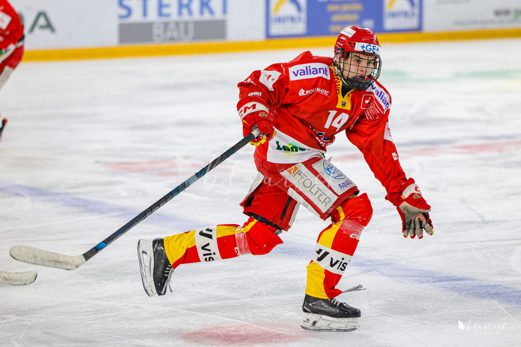 EHCB Spirit vs HCFG_wb-8406 | Sportbilder, Sportfotograf, Hochzeits- und Eventfotografin, Flugshows, Portraits und Tiershooting, Aviation, Downhill, Nationalleague, Swissleague, International