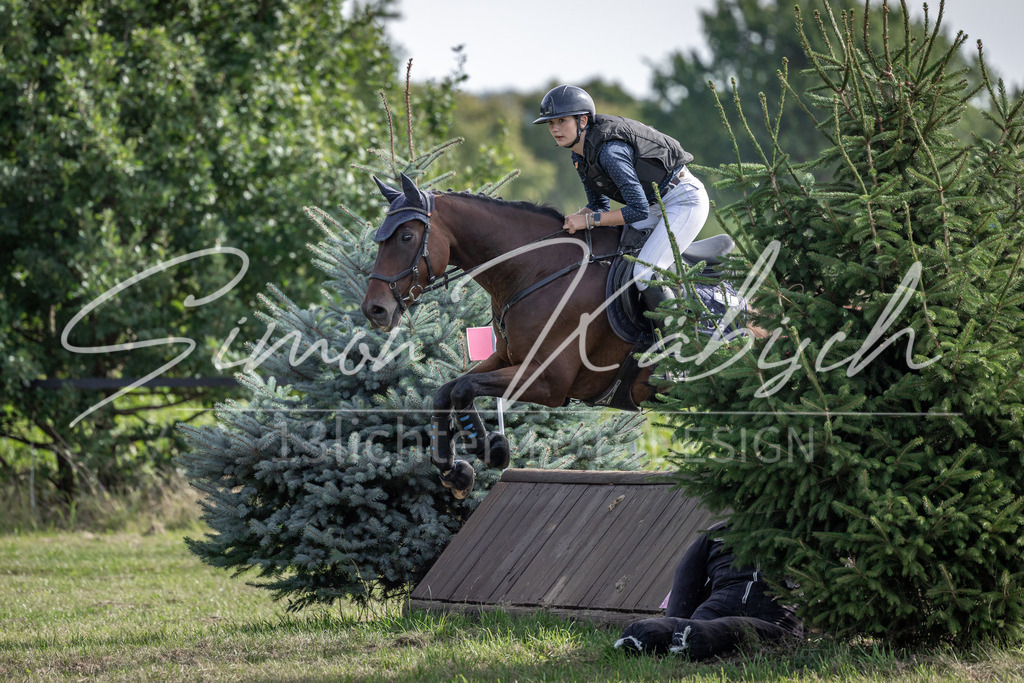 20250907-_3LI9485 | Tierfotografie Pferde, Hunde, Katzen, Haustiere.
Turnierfotografie Reitturniere, Reiten, Springreiten, Dressur in Hanau, dem Main-Kinzig-Kreis und dem Rhein-Main- Gebiet um Frankfurt