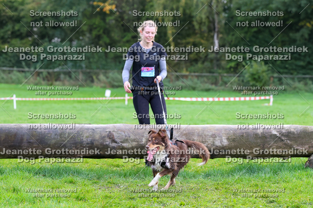 Dog Paparazzi -  SD1026-2091 | Dog Paparazzi Jeanette Grottendiek Fotografie & Videografie - Realisiert mit Pictrs.com