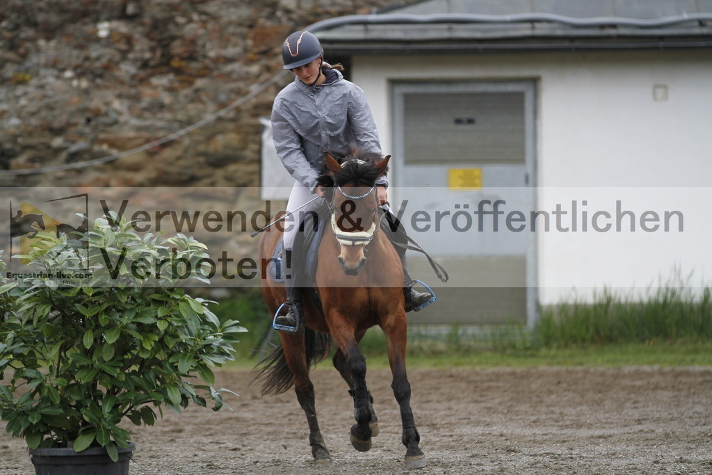 _MG_3566 | equestrian-live-com