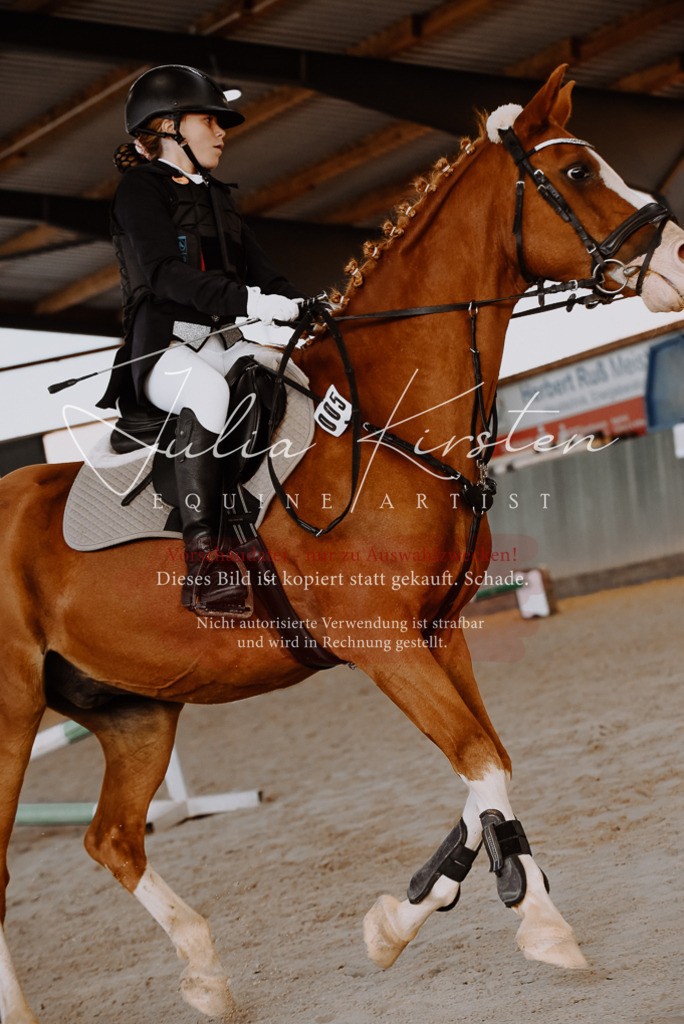 DSC_7451 | Pferde- und Turnierfotografie in Westsachsen. Pferdeportraits, Auftragszeichnungen und intuitive Kunst.