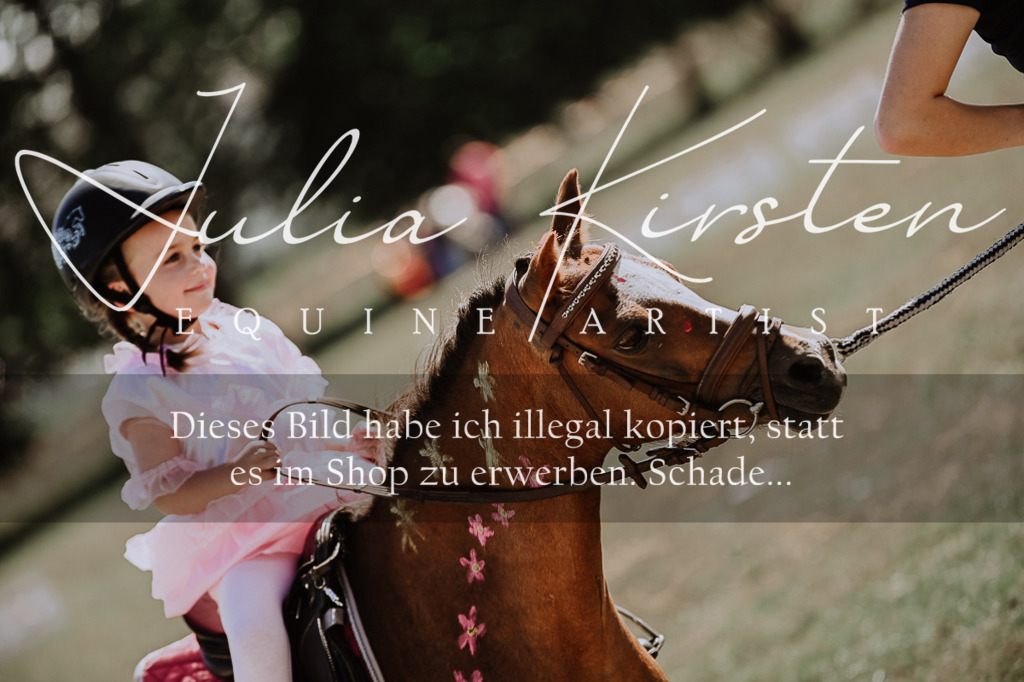 DSC_9016 | Pferde- und Turnierfotografie in Westsachsen. Pferdeportraits, Auftragszeichnungen und intuitive Kunst.