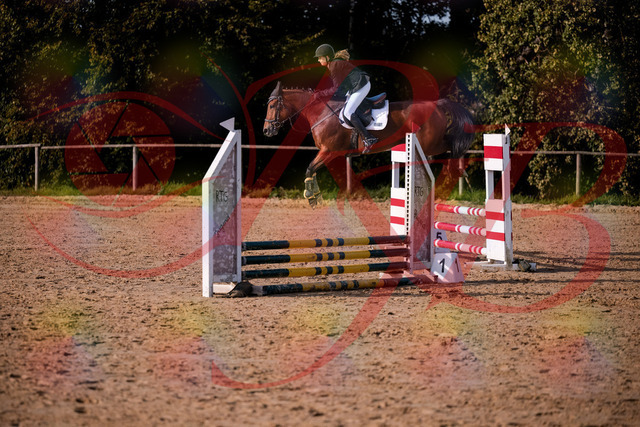 2026_10_03_Siefer-Hof_161049_Z81_90533119 | Professionelle Reitsport-, Turnier- und Eventfotografie von Robert Broda. Galerien mit ausgewählten und bearbeiteten Bildern direkt online ansehen und bestellen.