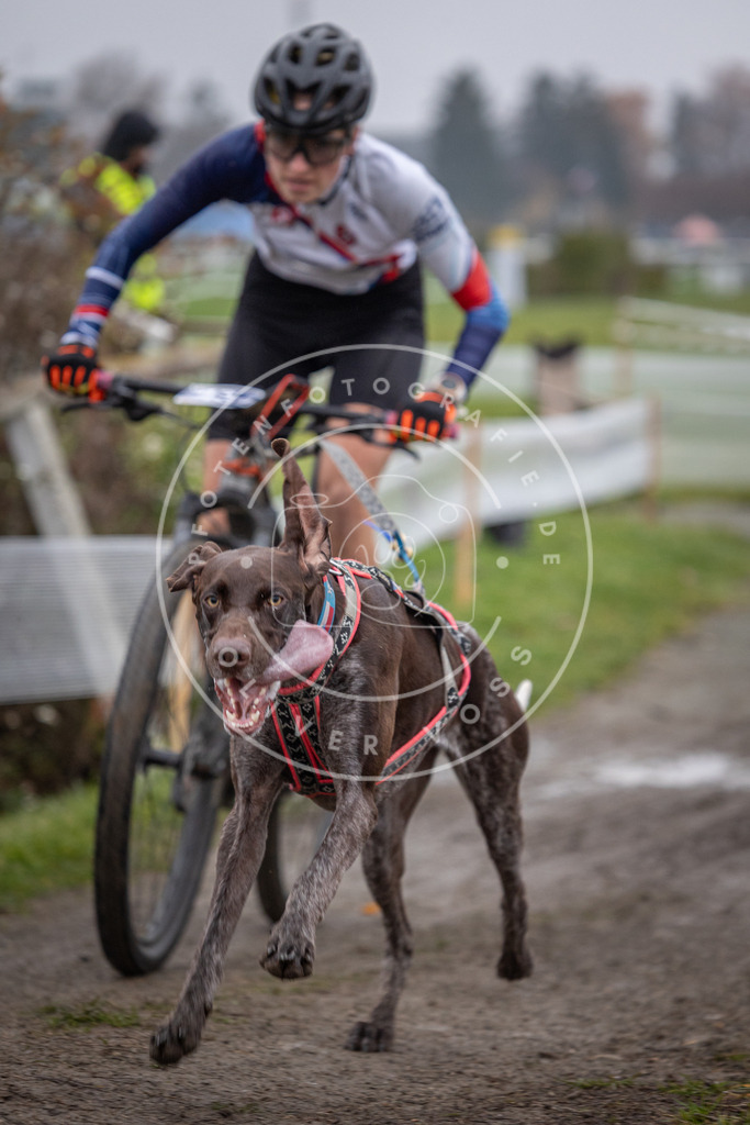CaniXpix_0L8A1344 | Hundefotografie, Tierfotograf, Pfotenfotografie, Fotoshooting Hund, Hunde Portrait, Hundesport, Hundeportraits, Heideshooting, Hunde, Sportfotograf, Hundefotograf, Turnierhundsport, THS,  - Realisiert mit Pictrs.com