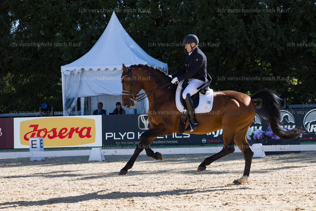 FHC2026_P07_168_17553 | working equitationturnier fotograf videograf stoibphotography marixx film working equitation deutschland reitsport turnierfotografie eventfotografie equestrian events