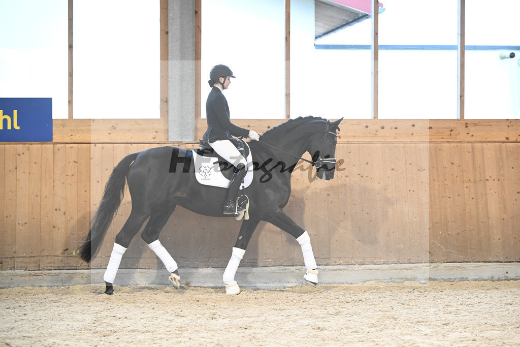 Haffruf_7240754 | hf-fotografie - Realisiert mit Pictrs.com