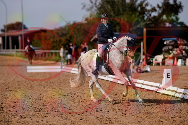 2026_10_03_Siefer-Hof_123143_Z81_30535194 | Professionelle Reitsport-, Turnier- und Eventfotografie von Robert Broda. Galerien mit ausgewählten und bearbeiteten Bildern direkt online ansehen und bestellen.