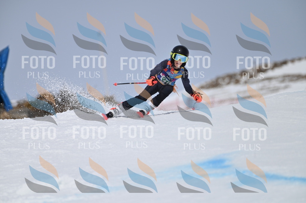 BGV_4223 | holidayphoto