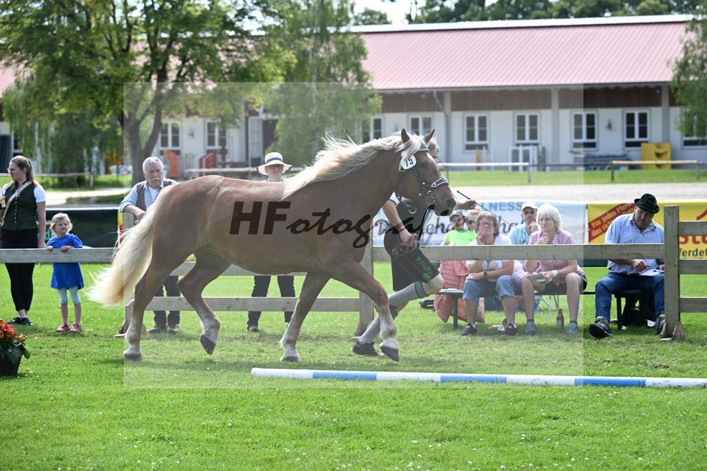 Kat-Nr. 75 Melodie v. Voithberg_Ober_22241327 | hf-fotografie - Realizzato con Pictrs.com