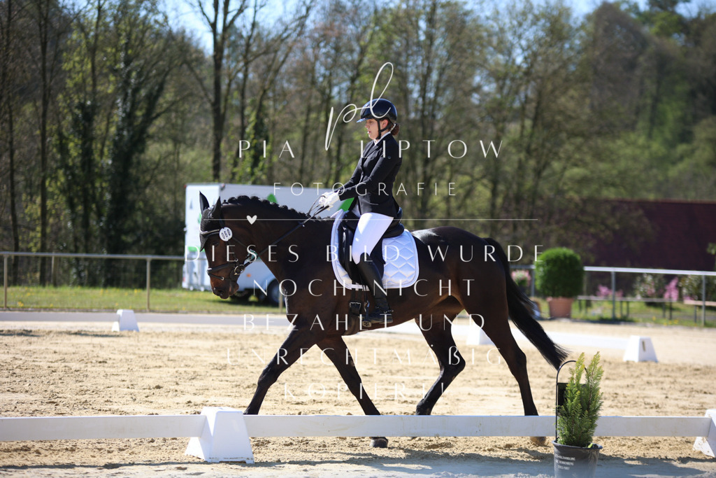 IMGT9680 | pl-fotografie