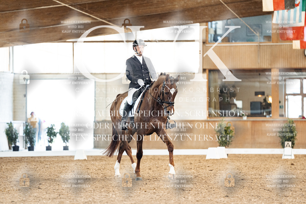CK909354 | Turnierfotografie Pferdefotografie Trier Rheinland-Pfalz Pferdesport Reitsport Tierfotografie Sportfotografie Pferdevideo Pferdevideografie Equestrianvideography equestrianphotography  - Realisiert mit Pictrs.com