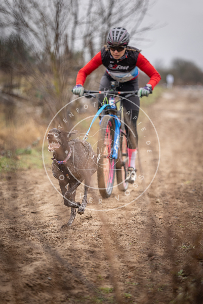 DV3A8852 | Hundefotografie, Tierfotograf, Pfotenfotografie, Fotoshooting Hund, Hunde Portrait, Hundesport, Hundeportraits, Heideshooting, Hunde, Sportfotograf, Hundefotograf, Turnierhundsport, THS,  - Realisiert mit Pictrs.com