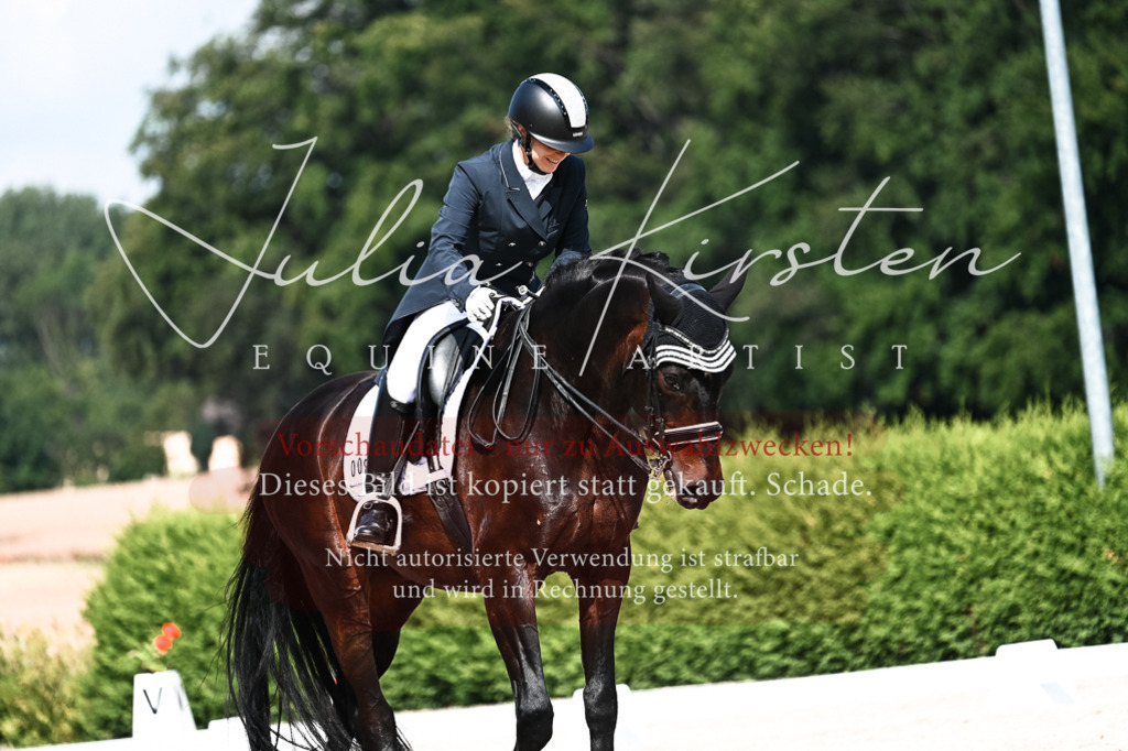 DSC_3339 | Pferde- und Turnierfotografie in Westsachsen. Pferdeportraits, Auftragszeichnungen und intuitive Kunst.