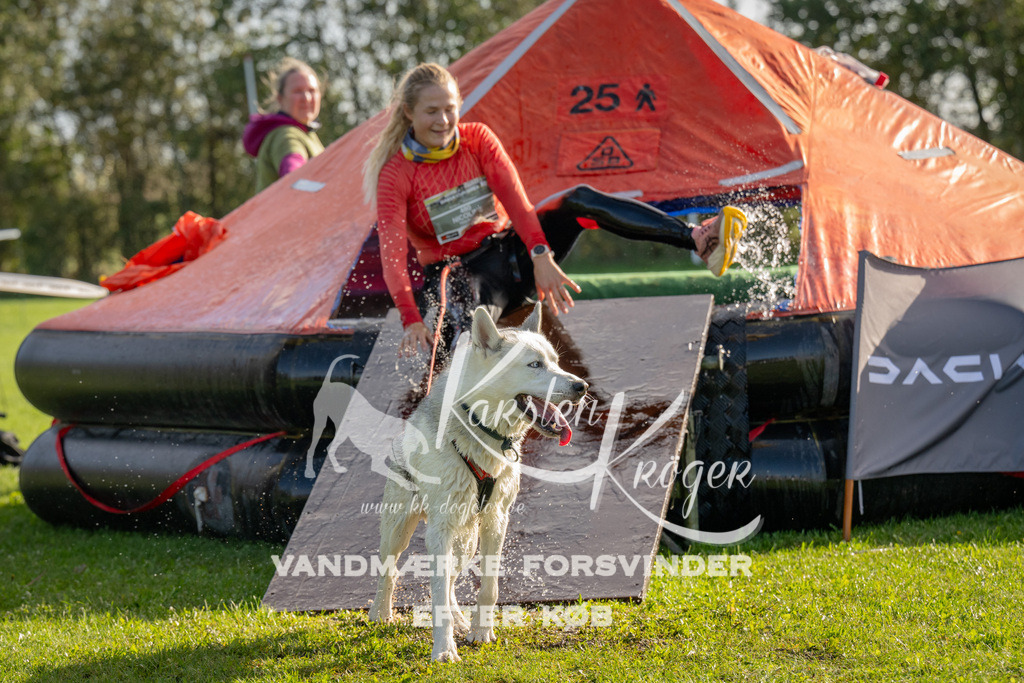 1118-92013 | kk-dogfotos