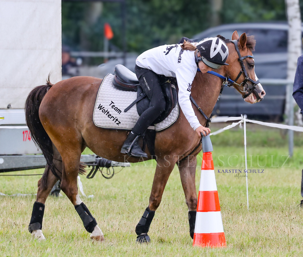 1B3A0436 | Reitsport Reiten
