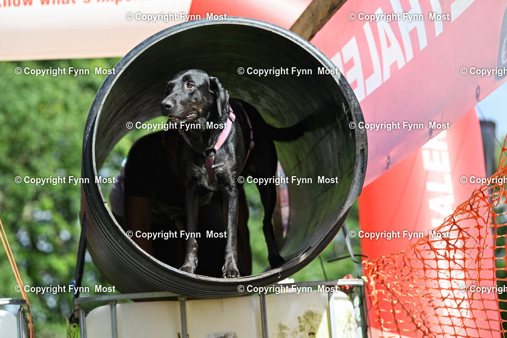 DSC_2330 | Hallo und herzlich Willkommen auf meiner Shop-Seite Fynn Most.

Ich wünsche Dir viel Spaß beim stöbern durch die Bilder, wenn Du Fragen hast oder Bilder vermisst, kannst du mir gerne eine Nachricht schreiben. - Realisiert mit Pictrs.com