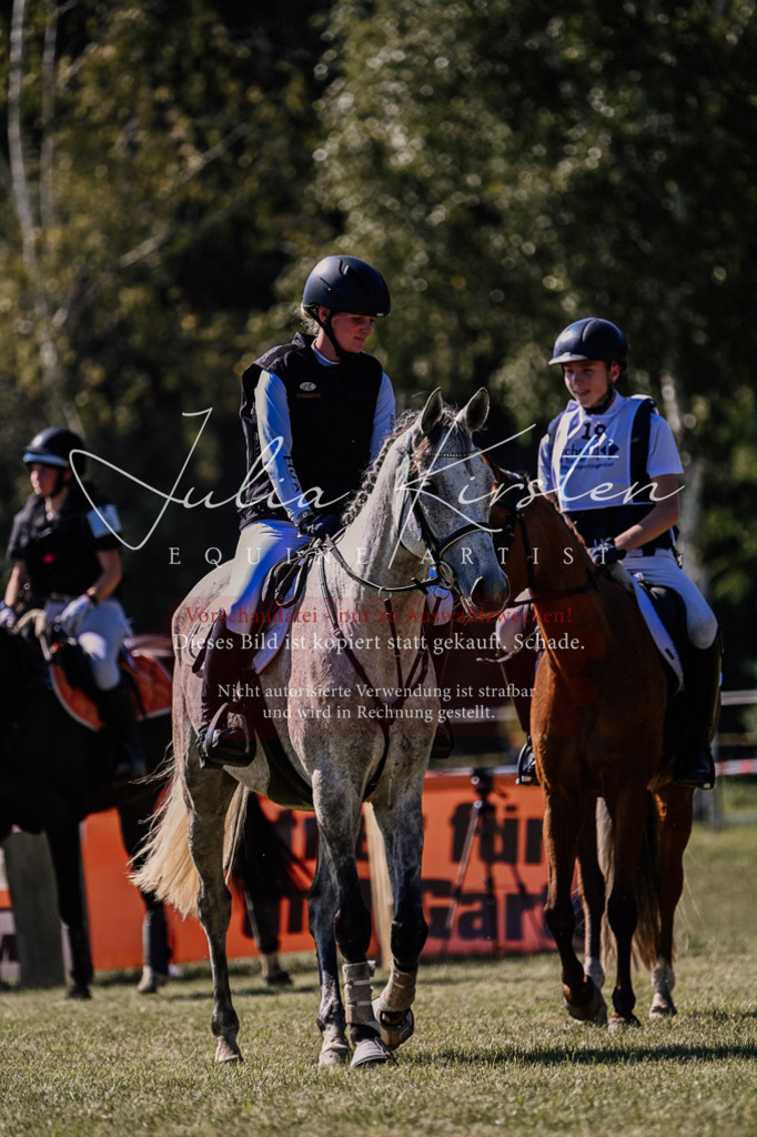 DSC_2567 | Pferde- und Turnierfotografie in Westsachsen. Pferdeportraits, Auftragszeichnungen und intuitive Kunst.